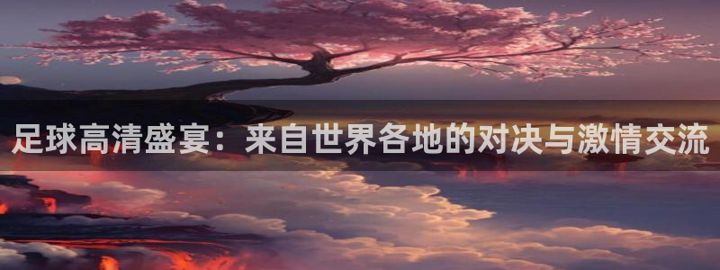 足球高清盛宴：来自世界各地的对决与激情交流